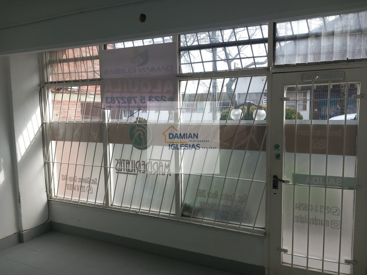 ALQUILER LOCAL FRENTE VIDRIADO BERNARDO DE IRIGOYEN 