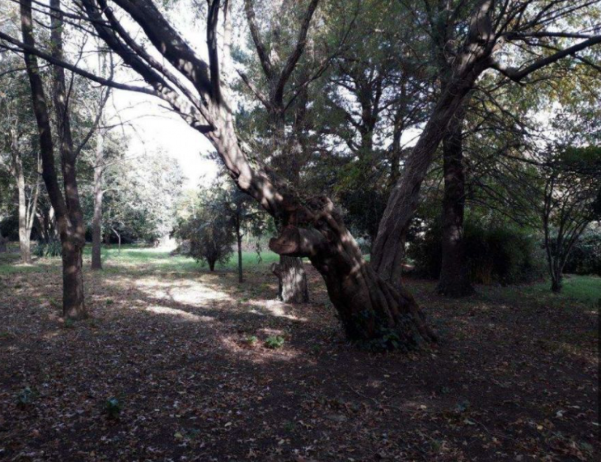 LOTE GLORIA DE LA PEREGRINA,FINANCIA.