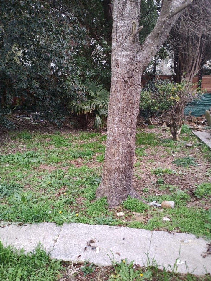 LOTE DE 420M2 EN FELIX U. CAMET VENDE O PERMUTA