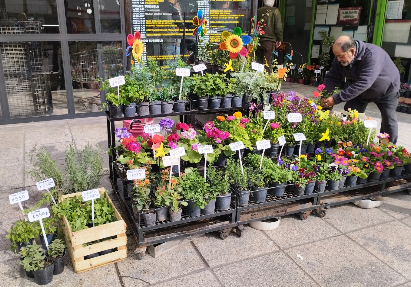 FONDO DE COMERCIO FLORERIA-PLANTAS EN PLENO MICROCENTRO